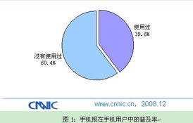 中国互联网络信息中心（CNNIC）在计算机软硬件技术研发中的战略角色与创新实践